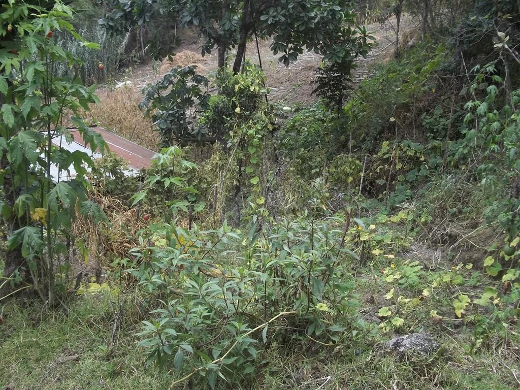 100_7716 (Copy)
