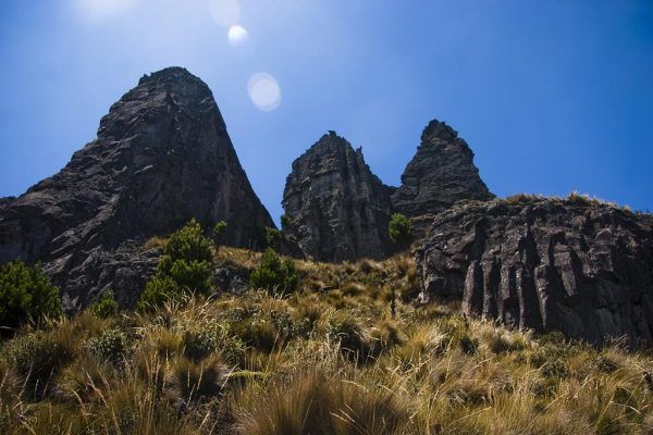 DESDE TINGO
