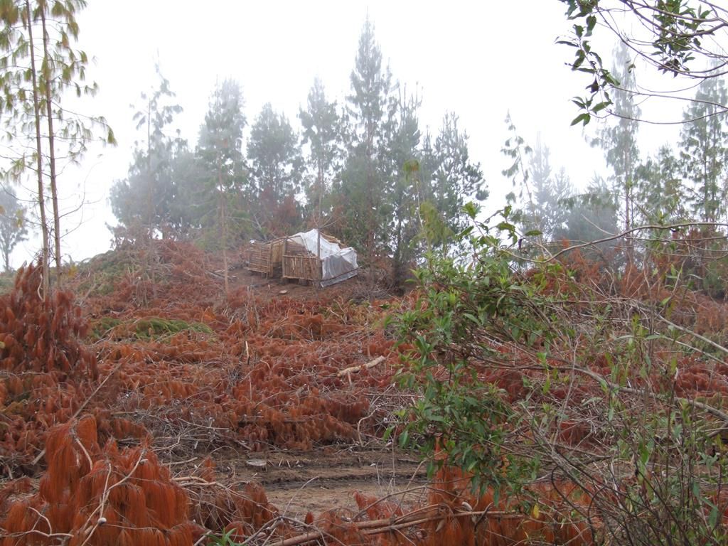 043_2 (Copy)