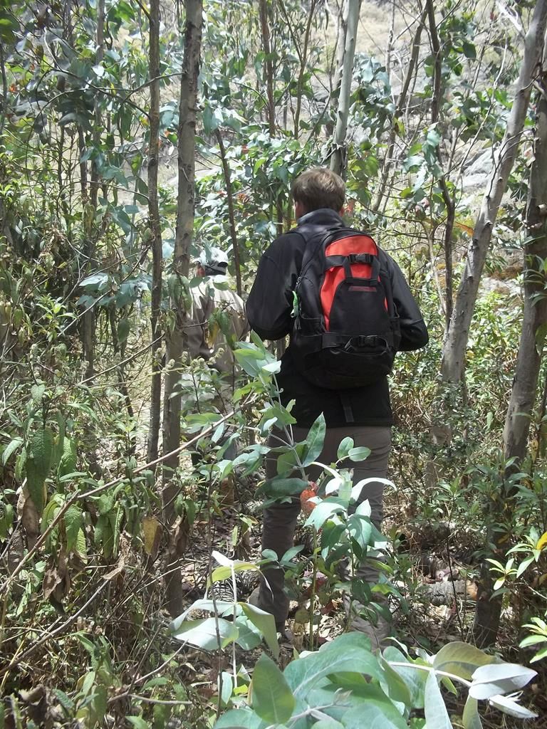 100_7427 (Copy)