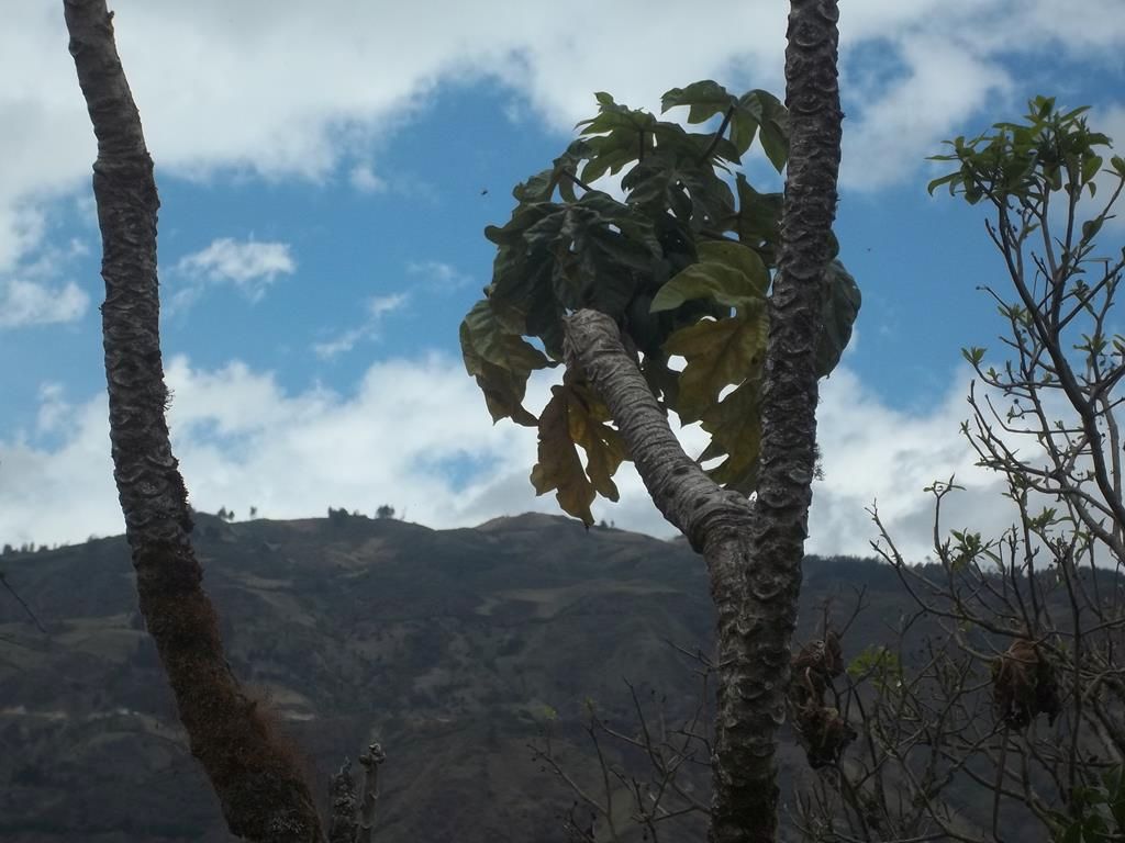 100_7700 (Copy)