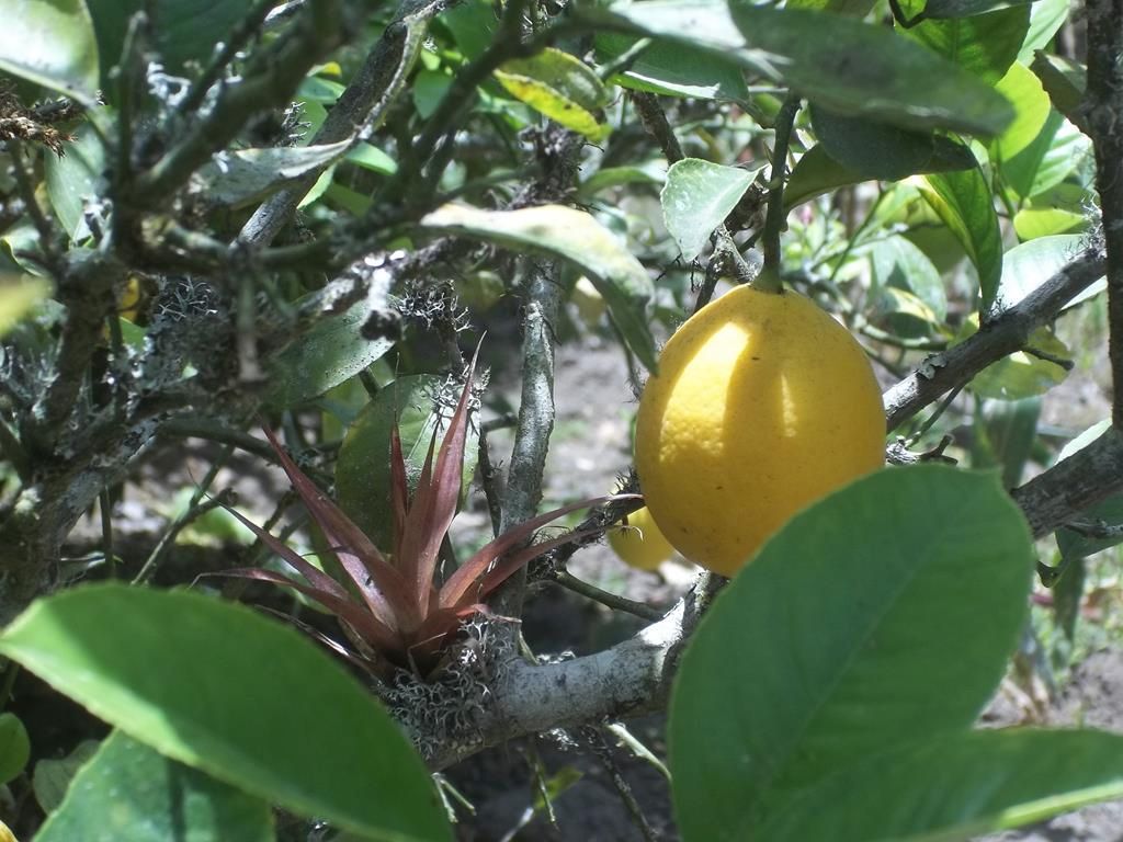 100_7738 (Copy)