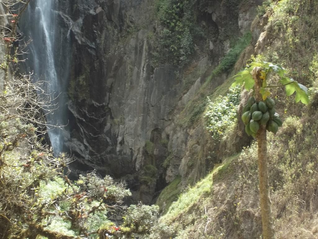 100_7773 (Copy)