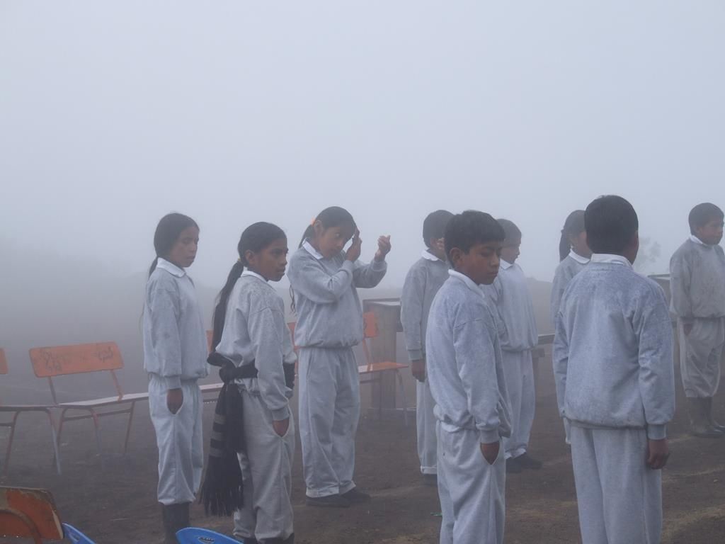 107 (Copy)