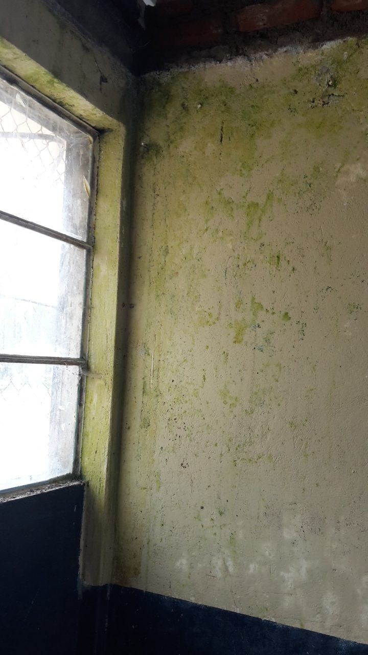 20180416_104355