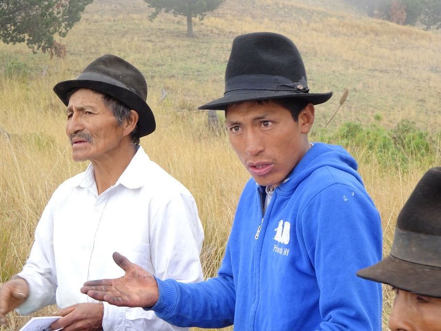 ANTONIO PUNINA 4