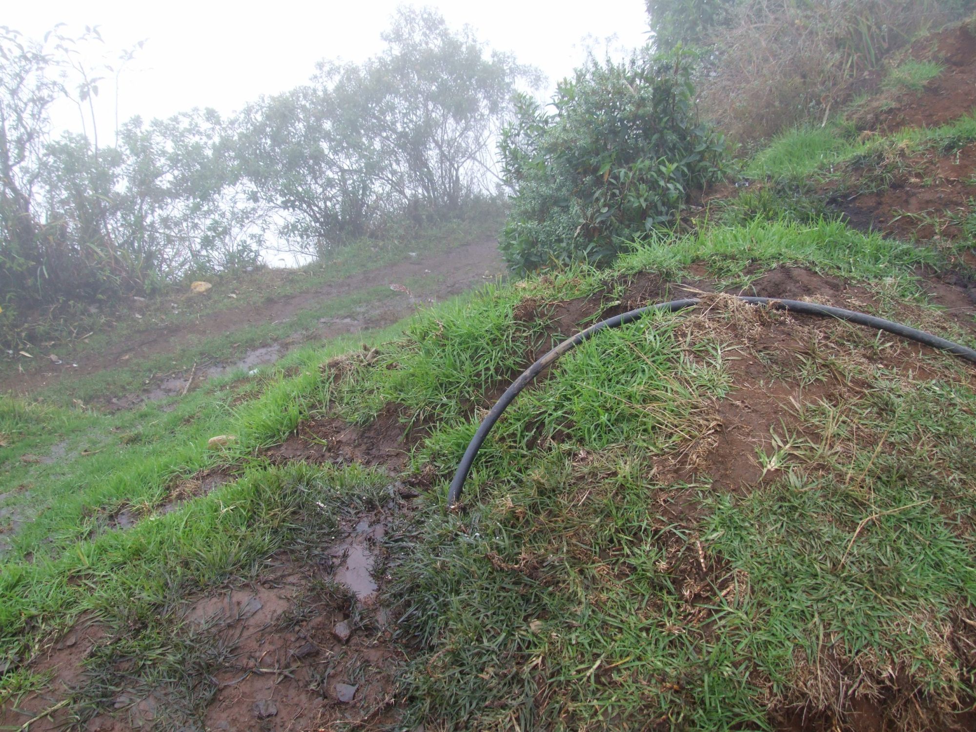 Agua JI Candio