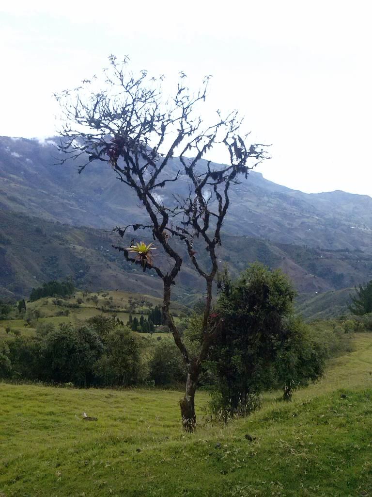 CAM04496 (Copy)