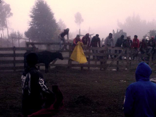 CAM06072