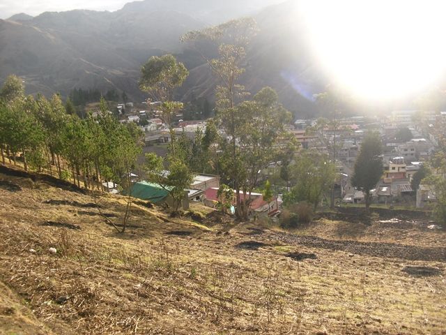 CIMG7398