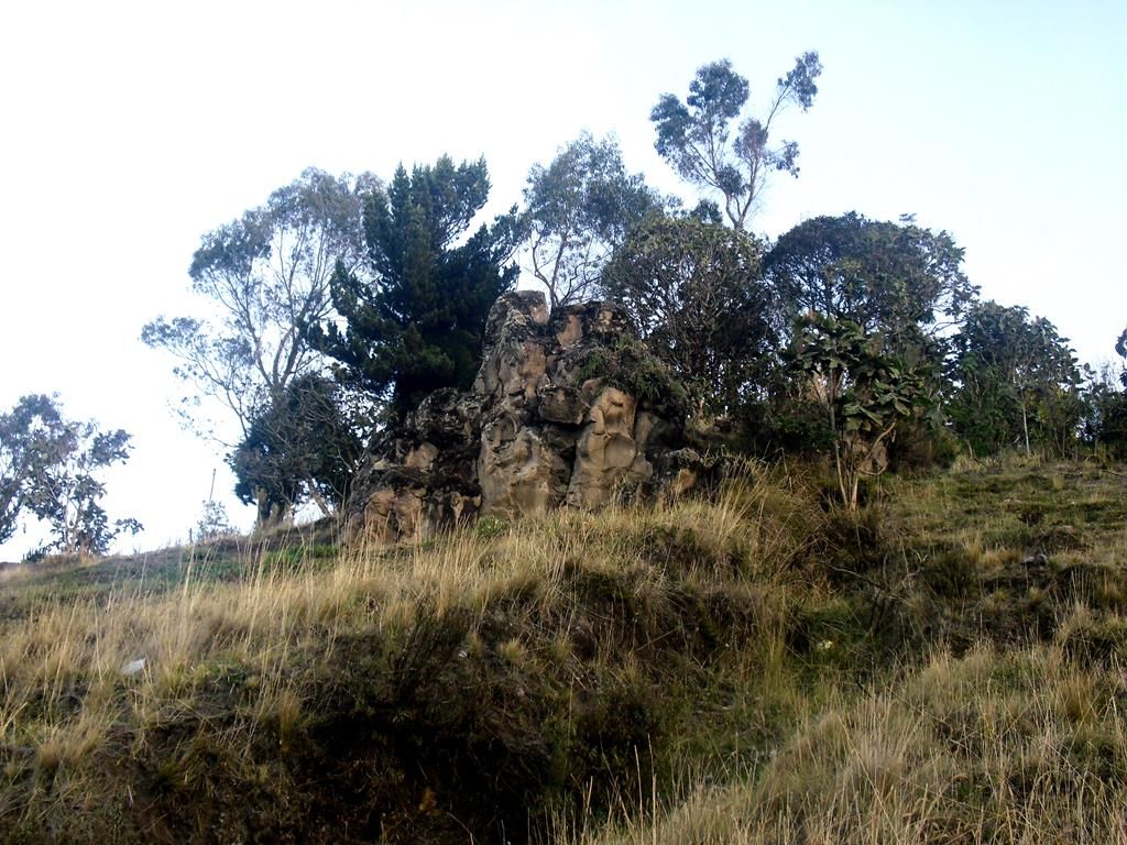CIMG8241 (Copy)