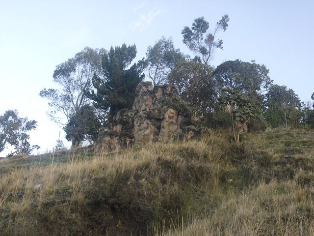 CIMG8241