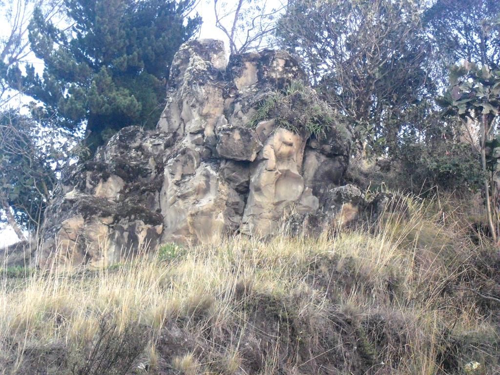 CIMG8242 (Copy)