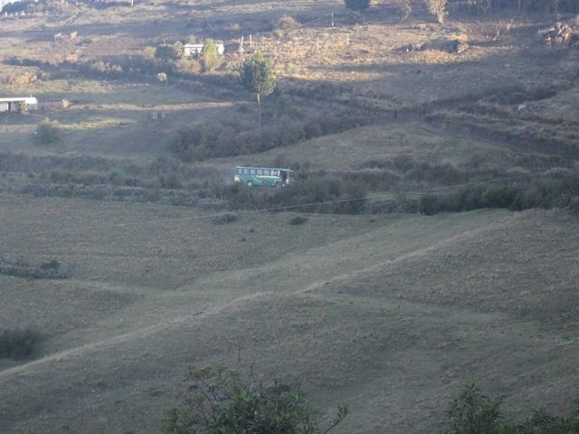 CIMG8254