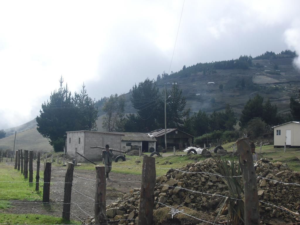 CIMG8290 (Copy)