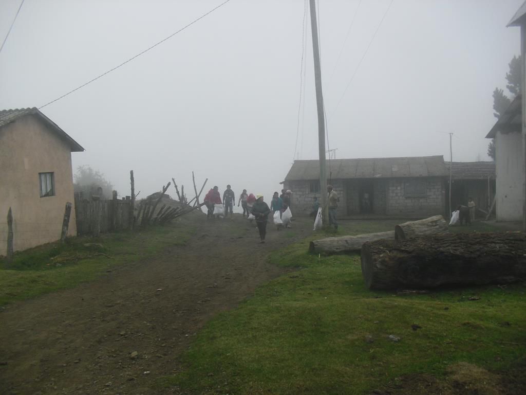 CIMG8336 (Copy)