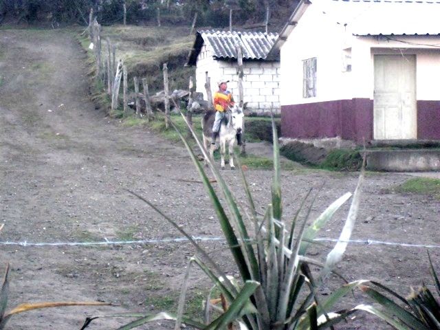 CIMG8961