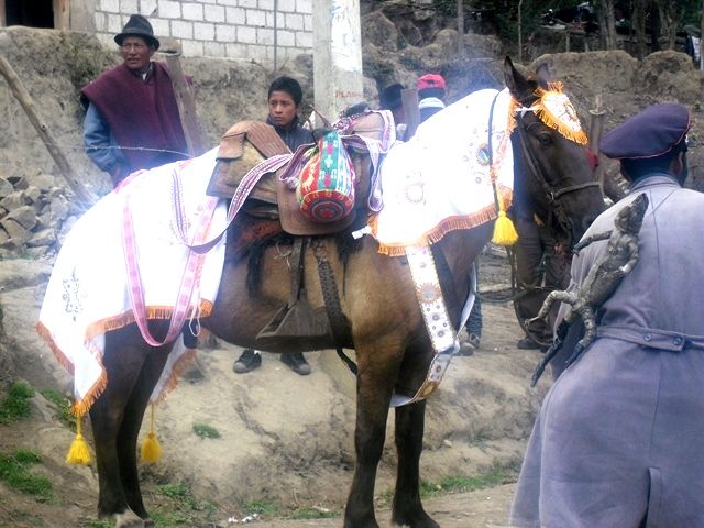 CIMG9162