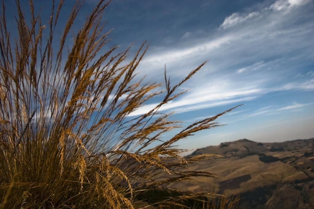 DESDE PAMPA DE ALLAGO