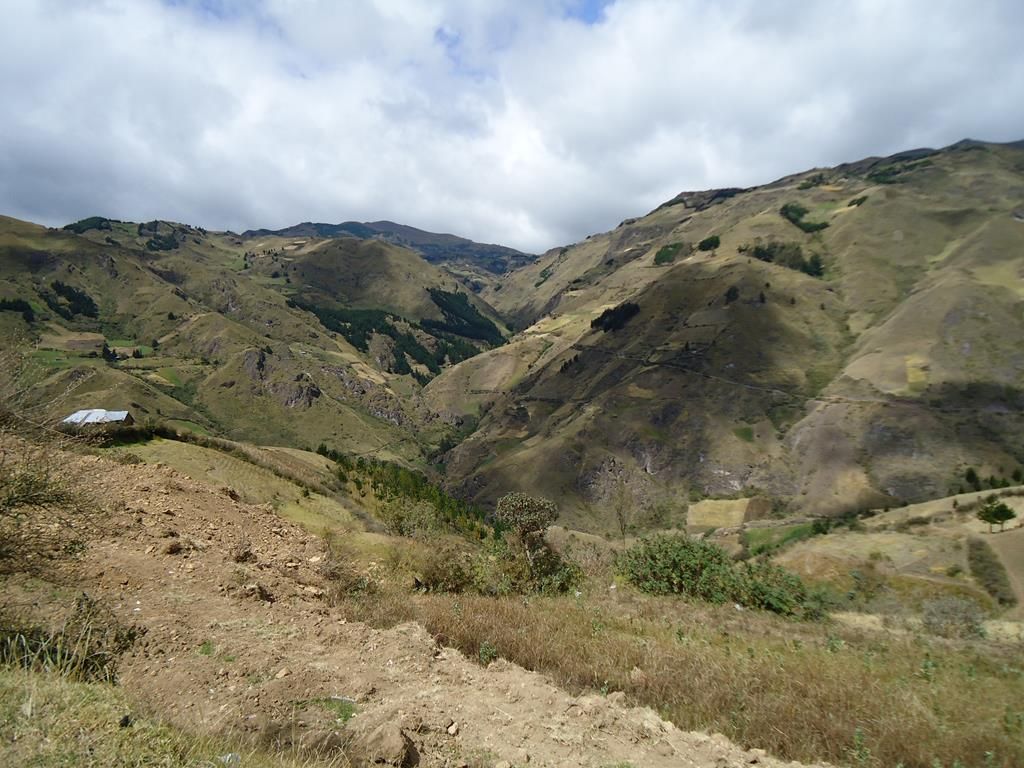 DSC00121 (Copy)