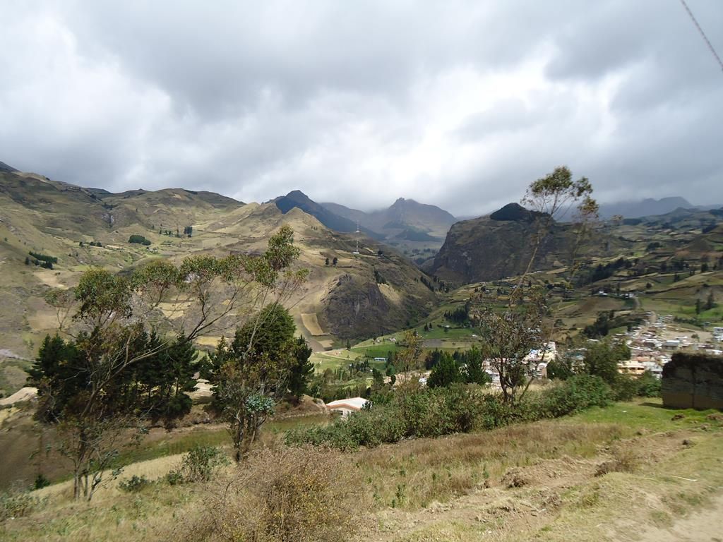 DSC00123 (Copy)