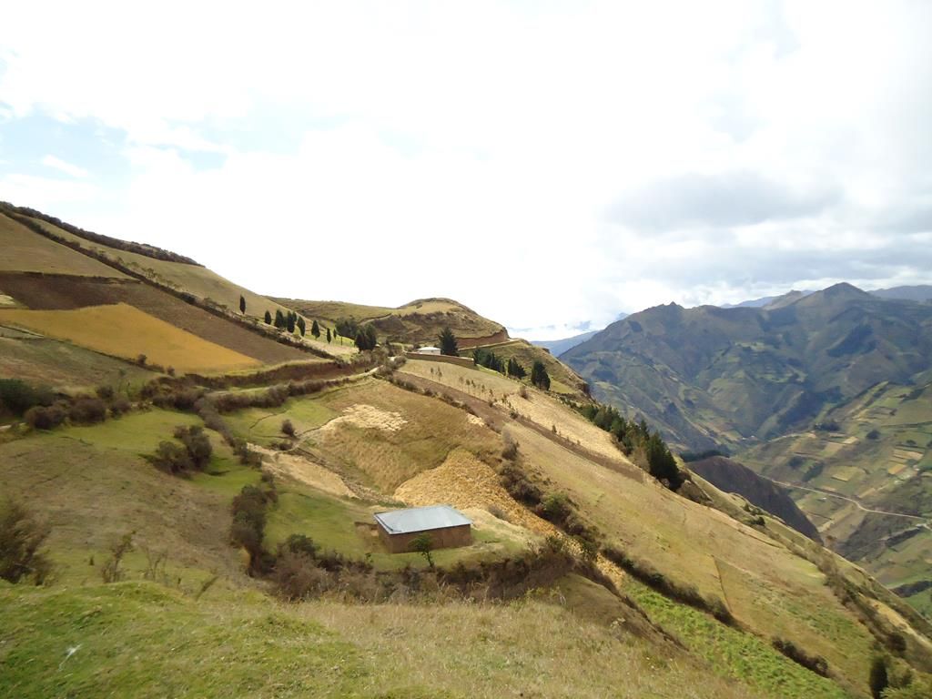 DSC00128 (Copy)