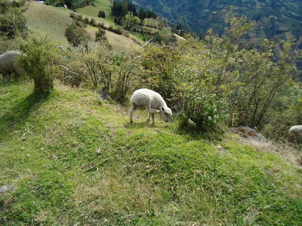 DSC00137 (Copy)