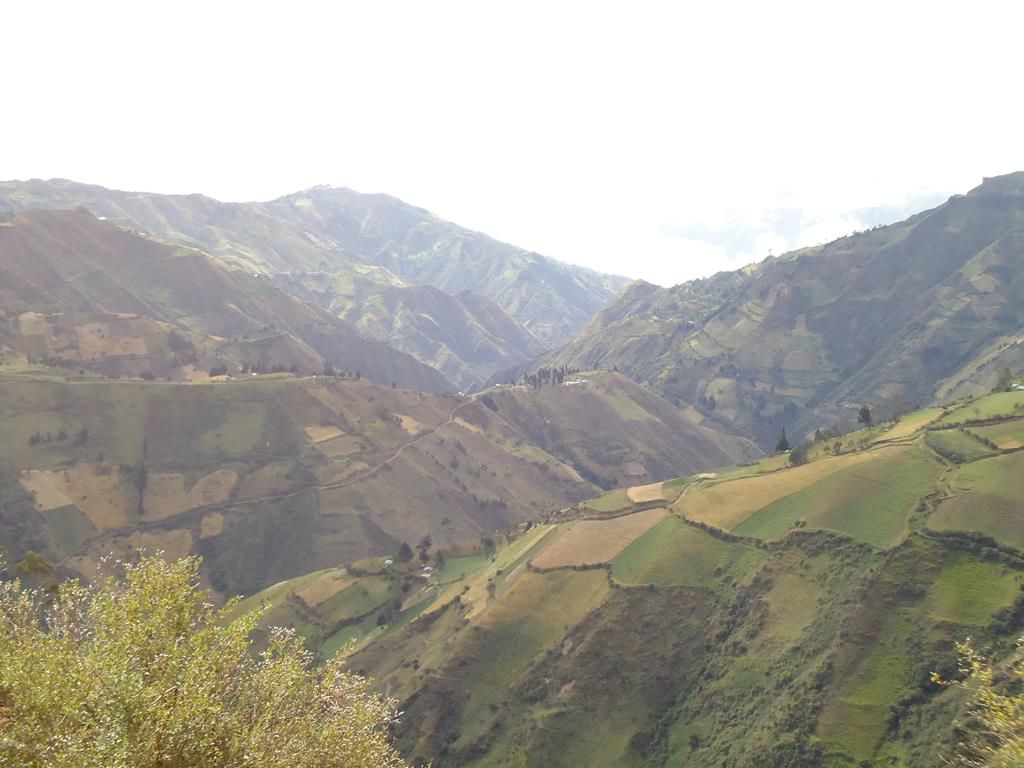DSC00139 (Copy)