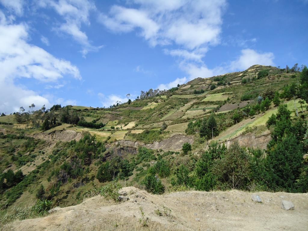 DSC00152 (Copy)