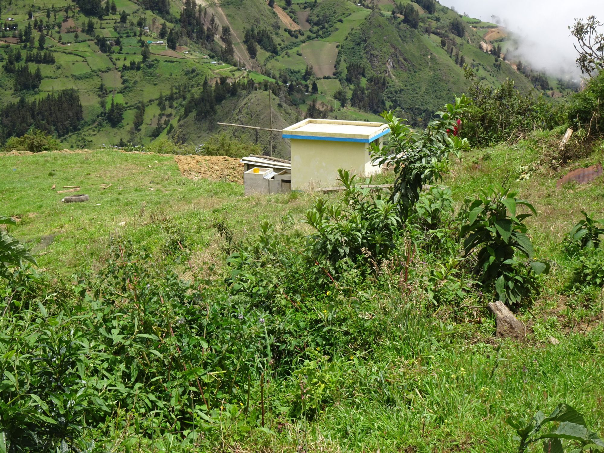 DSC00244