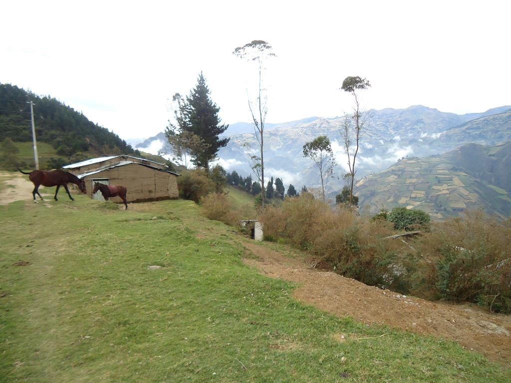 DSC00290 (Copy)