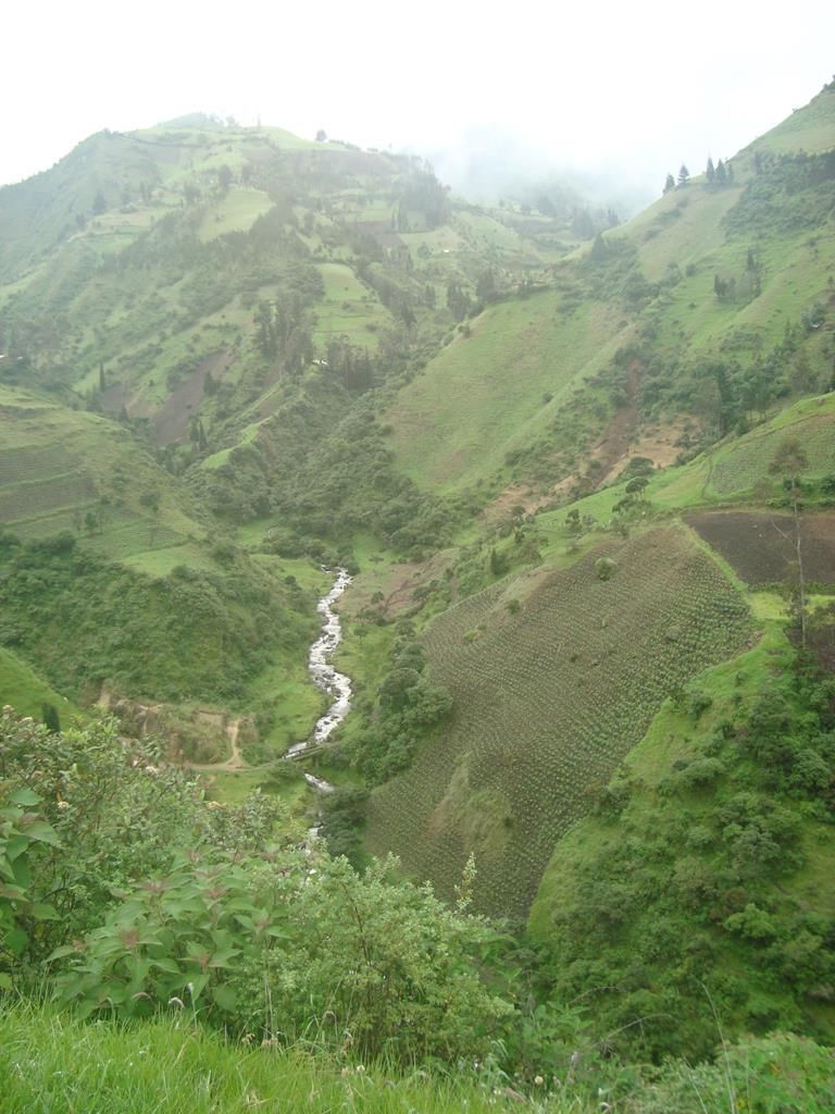 AppleMark