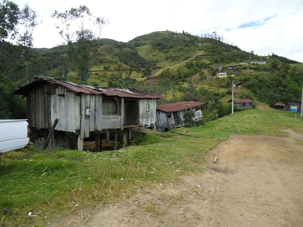 DSC00374 (Copy)
