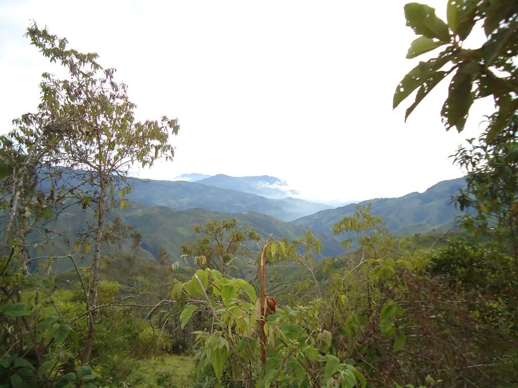 DSC00391 (Copy)