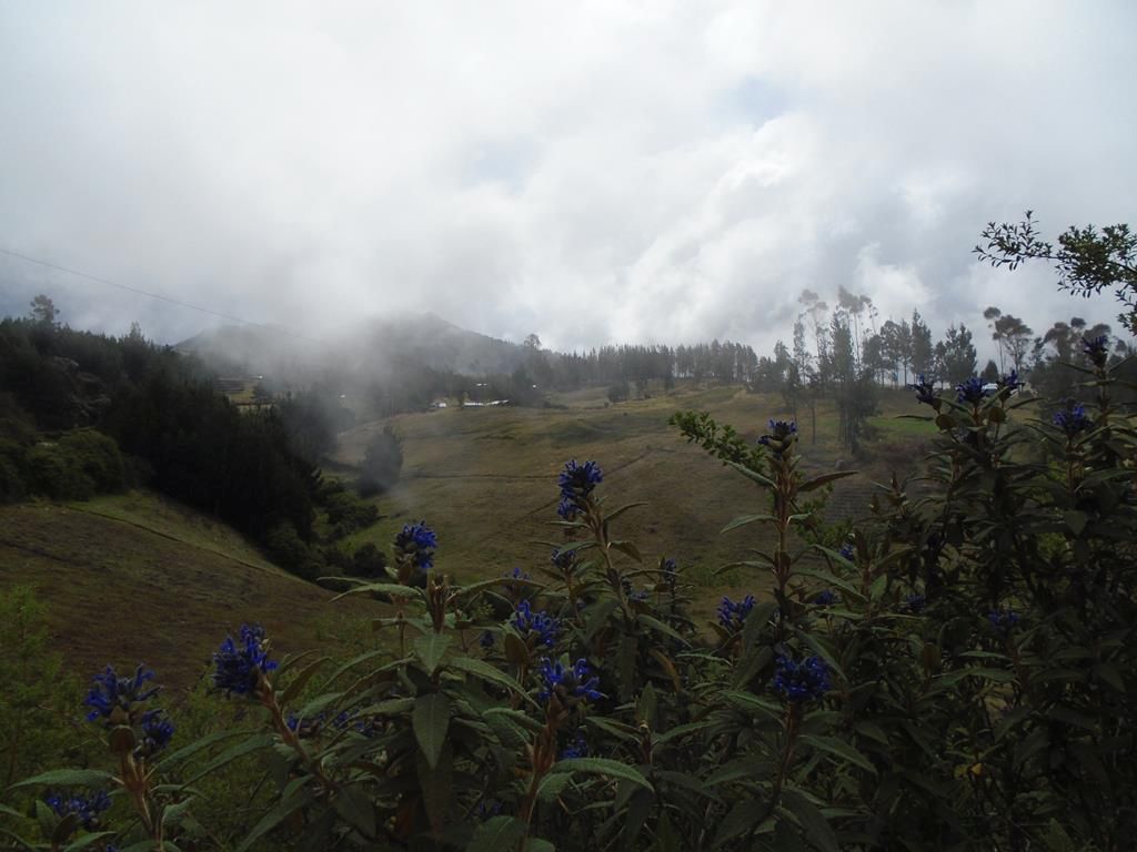 DSC00421 (Copy)