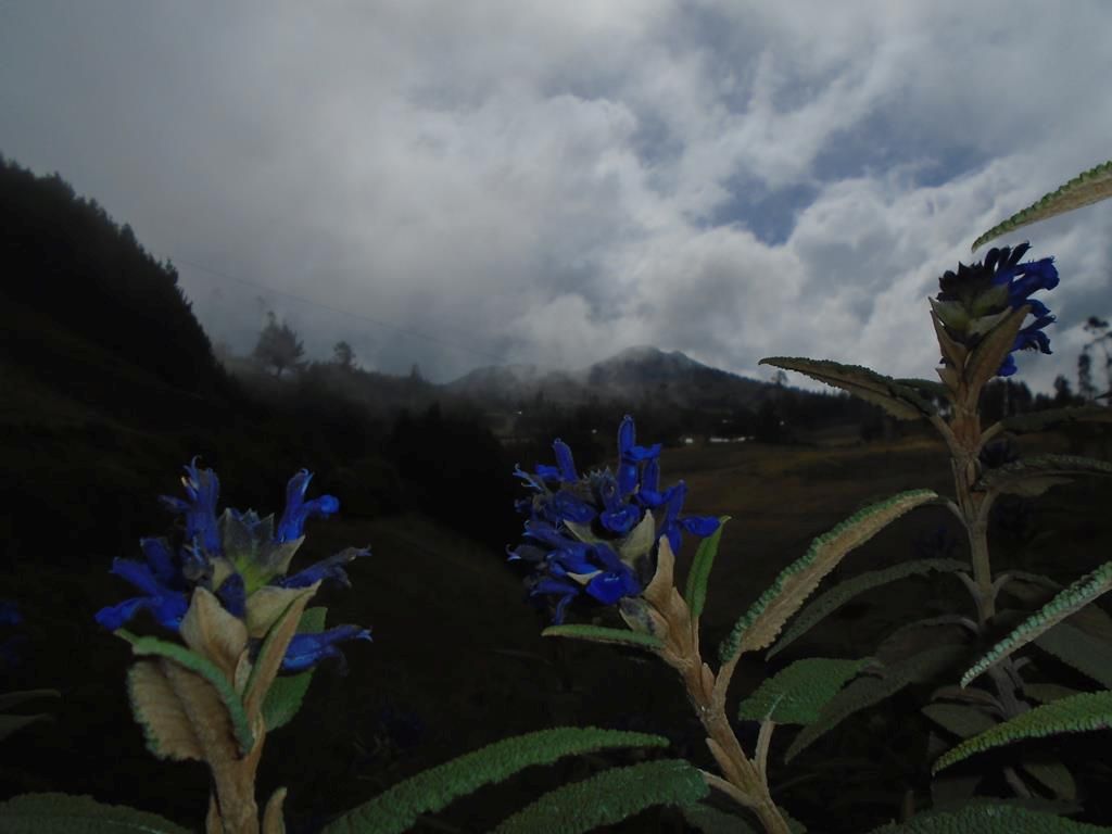 DSC00422 (Copy)
