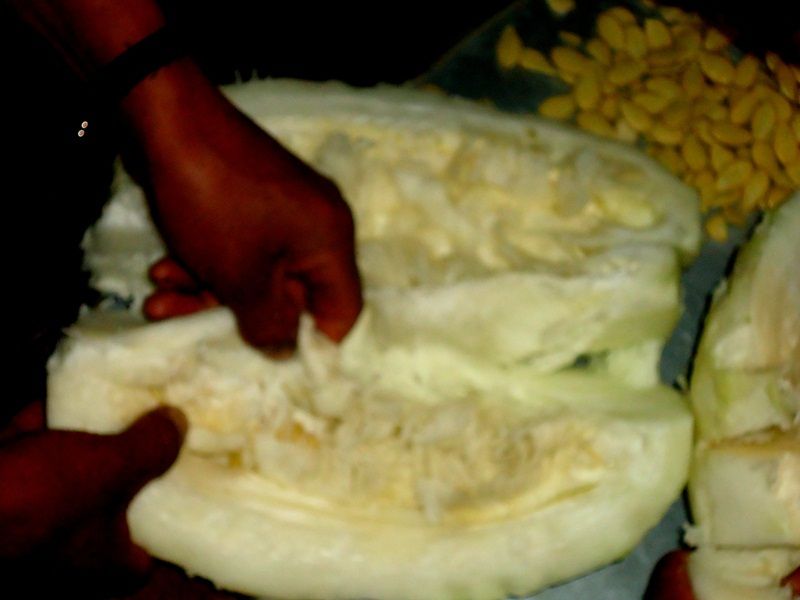 DSC00493