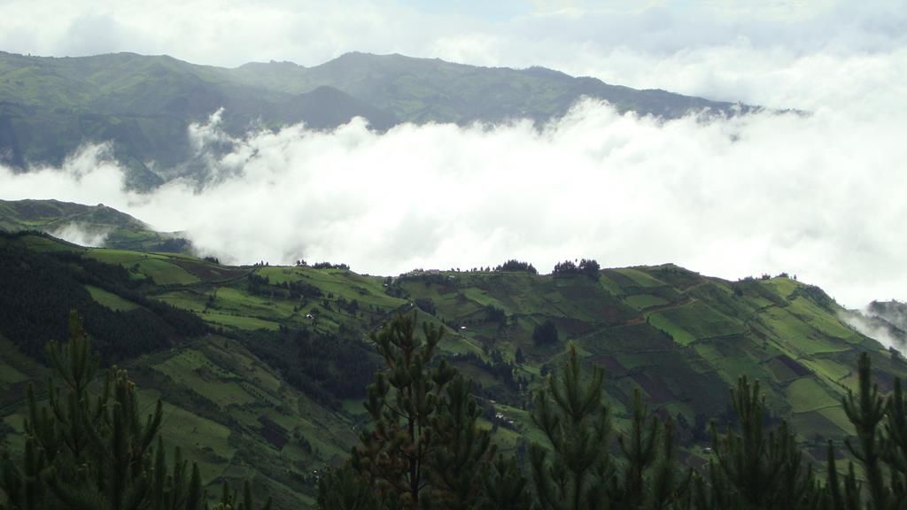 DSC00692 (Copy)