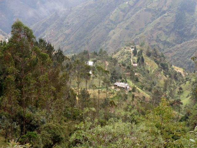 DSC00761 (640×480)