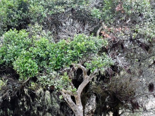 DSC00814 (640×480)
