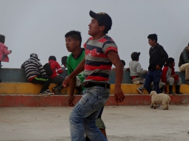 DSC00892 (640×480)