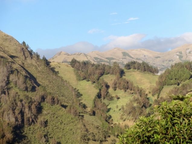 DSC00907 (640×480)
