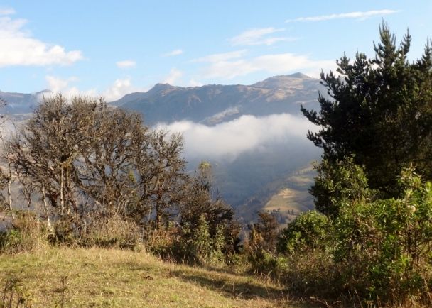 DSC00909 (640×480)