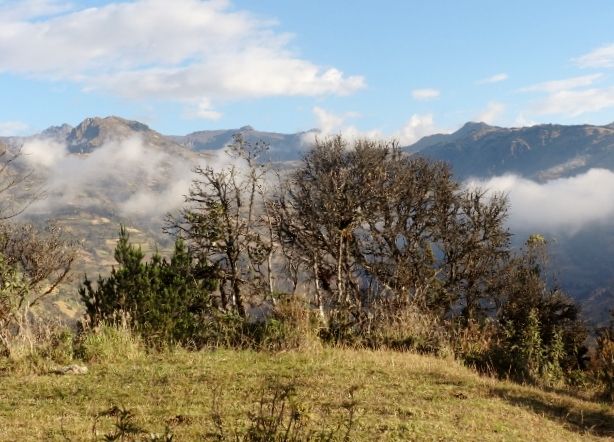 DSC00910 (640×480)