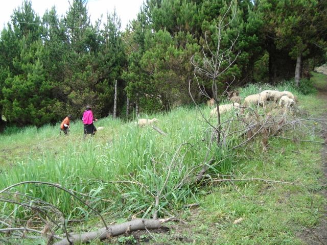 DSC00991 (640×480)