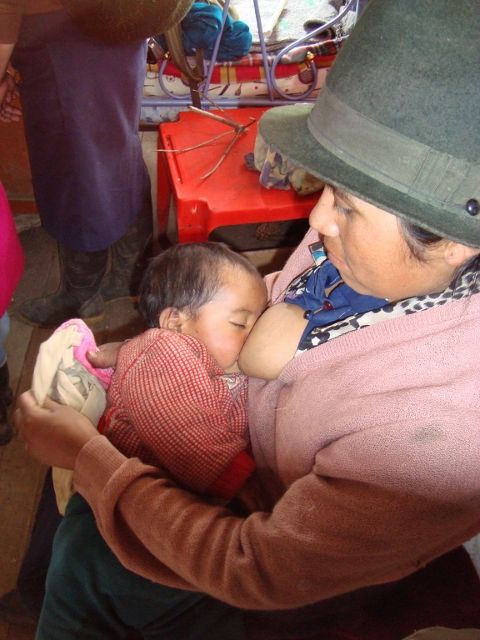 DSC00998 (480×640)
