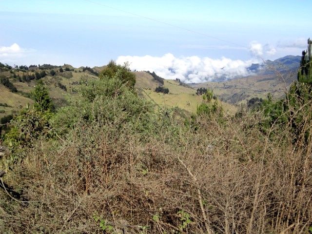 DSC01199