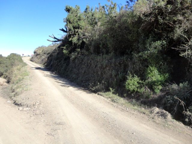 DSC01201