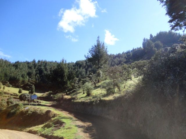DSC01206