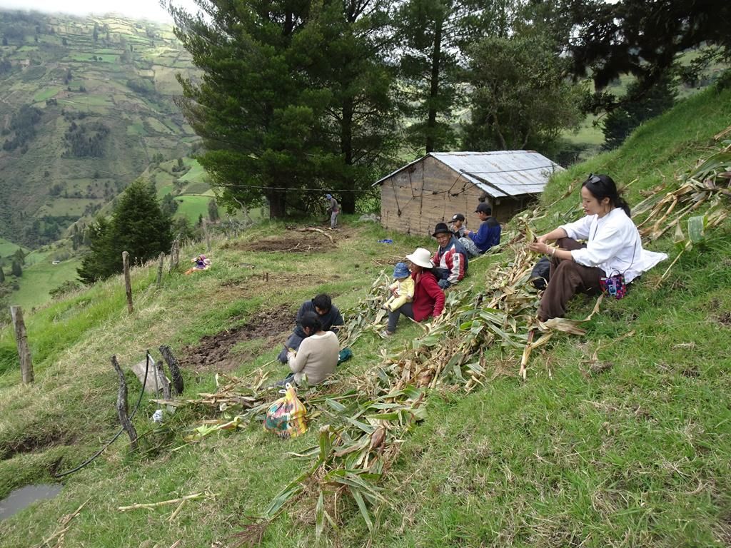 DSC01209 (Copy)